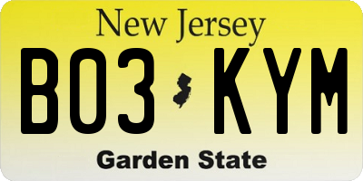 NJ license plate B03KYM