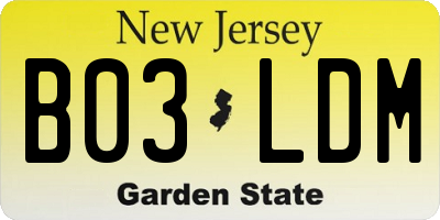 NJ license plate B03LDM
