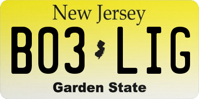 NJ license plate B03LIG