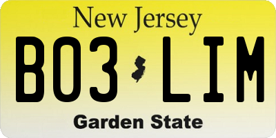 NJ license plate B03LIM
