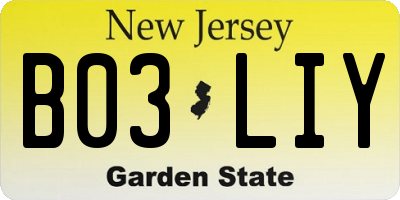 NJ license plate B03LIY
