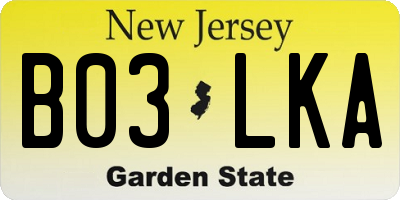 NJ license plate B03LKA