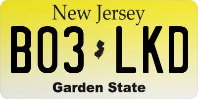 NJ license plate B03LKD