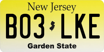 NJ license plate B03LKE