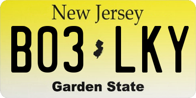 NJ license plate B03LKY