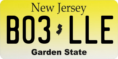 NJ license plate B03LLE