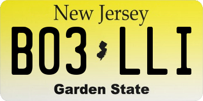 NJ license plate B03LLI