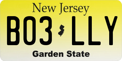 NJ license plate B03LLY