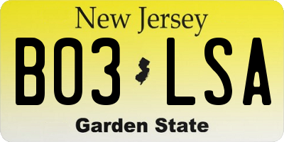 NJ license plate B03LSA