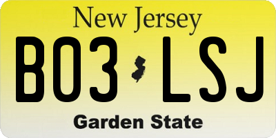 NJ license plate B03LSJ