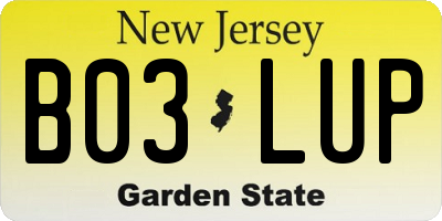 NJ license plate B03LUP