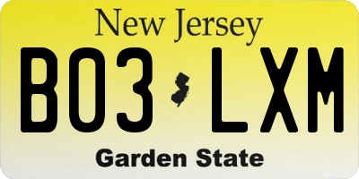 NJ license plate B03LXM