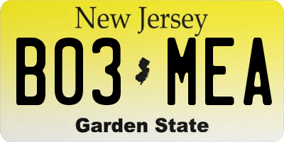 NJ license plate B03MEA