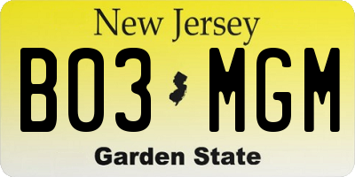 NJ license plate B03MGM