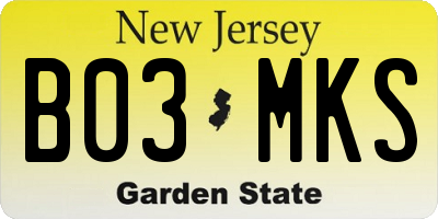NJ license plate B03MKS