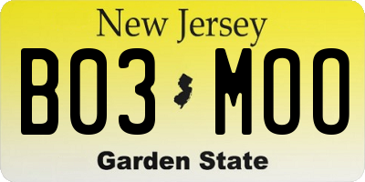NJ license plate B03MOO