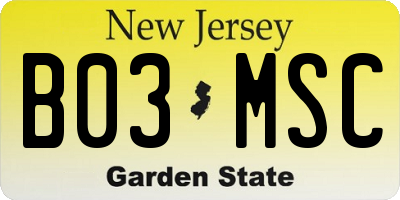 NJ license plate B03MSC