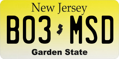 NJ license plate B03MSD