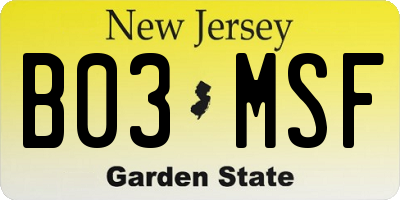 NJ license plate B03MSF