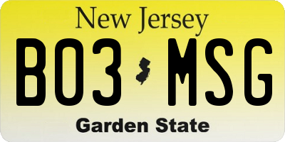 NJ license plate B03MSG