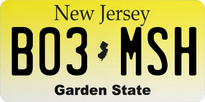 NJ license plate B03MSH