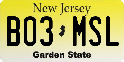 NJ license plate B03MSL