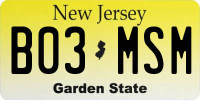 NJ license plate B03MSM
