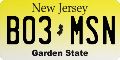 NJ license plate B03MSN