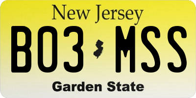 NJ license plate B03MSS