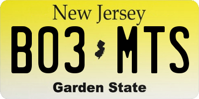 NJ license plate B03MTS