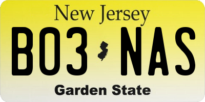 NJ license plate B03NAS