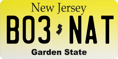 NJ license plate B03NAT