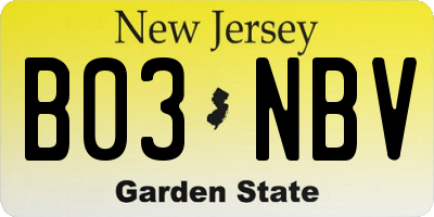 NJ license plate B03NBV