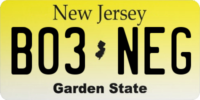 NJ license plate B03NEG