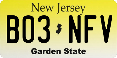NJ license plate B03NFV