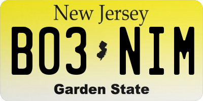 NJ license plate B03NIM