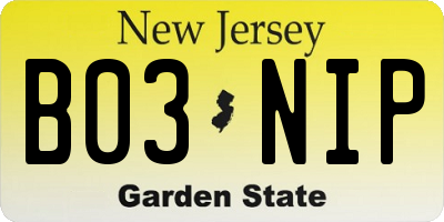 NJ license plate B03NIP