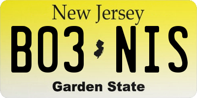 NJ license plate B03NIS