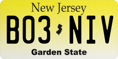 NJ license plate B03NIV