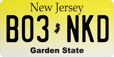 NJ license plate B03NKD