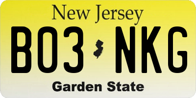 NJ license plate B03NKG