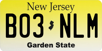 NJ license plate B03NLM