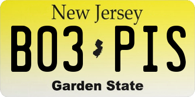 NJ license plate B03PIS