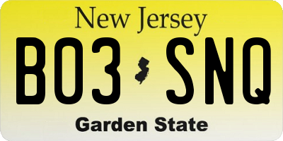 NJ license plate B03SNQ