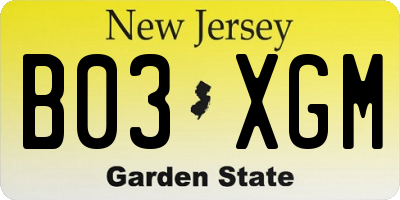 NJ license plate B03XGM