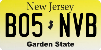 NJ license plate B05NVB