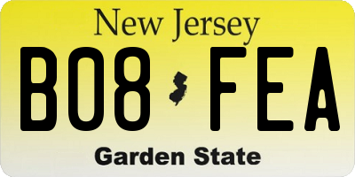 NJ license plate B08FEA