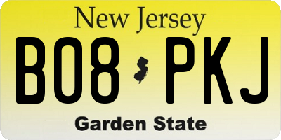 NJ license plate B08PKJ