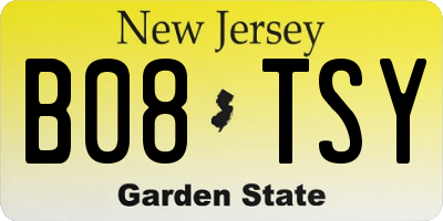 NJ license plate B08TSY