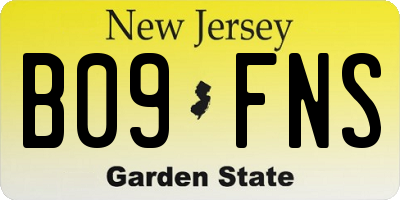 NJ license plate B09FNS